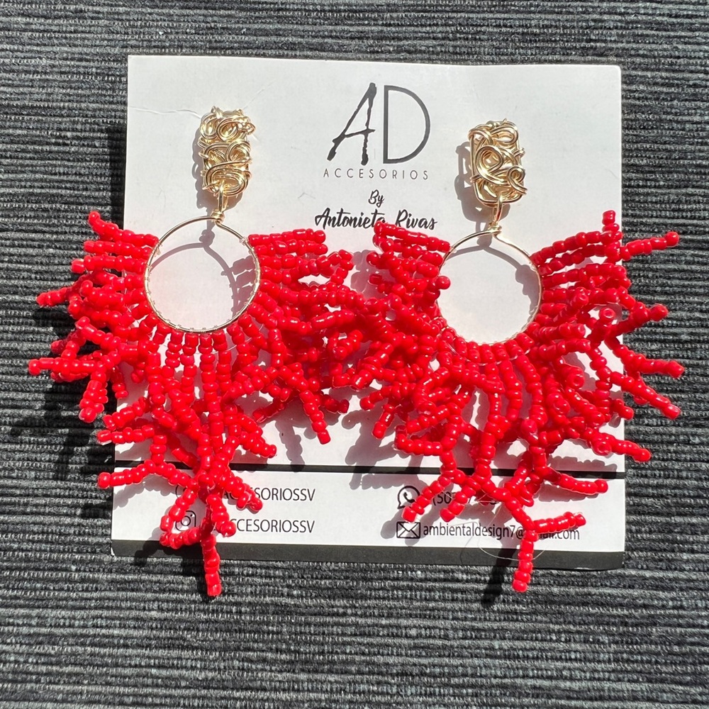 Earrings ✨